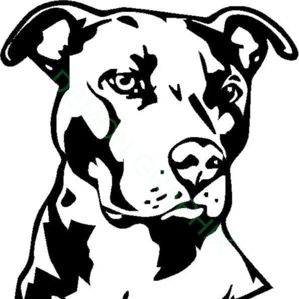 Vinyl Decal for Window - Dog, Pitbull